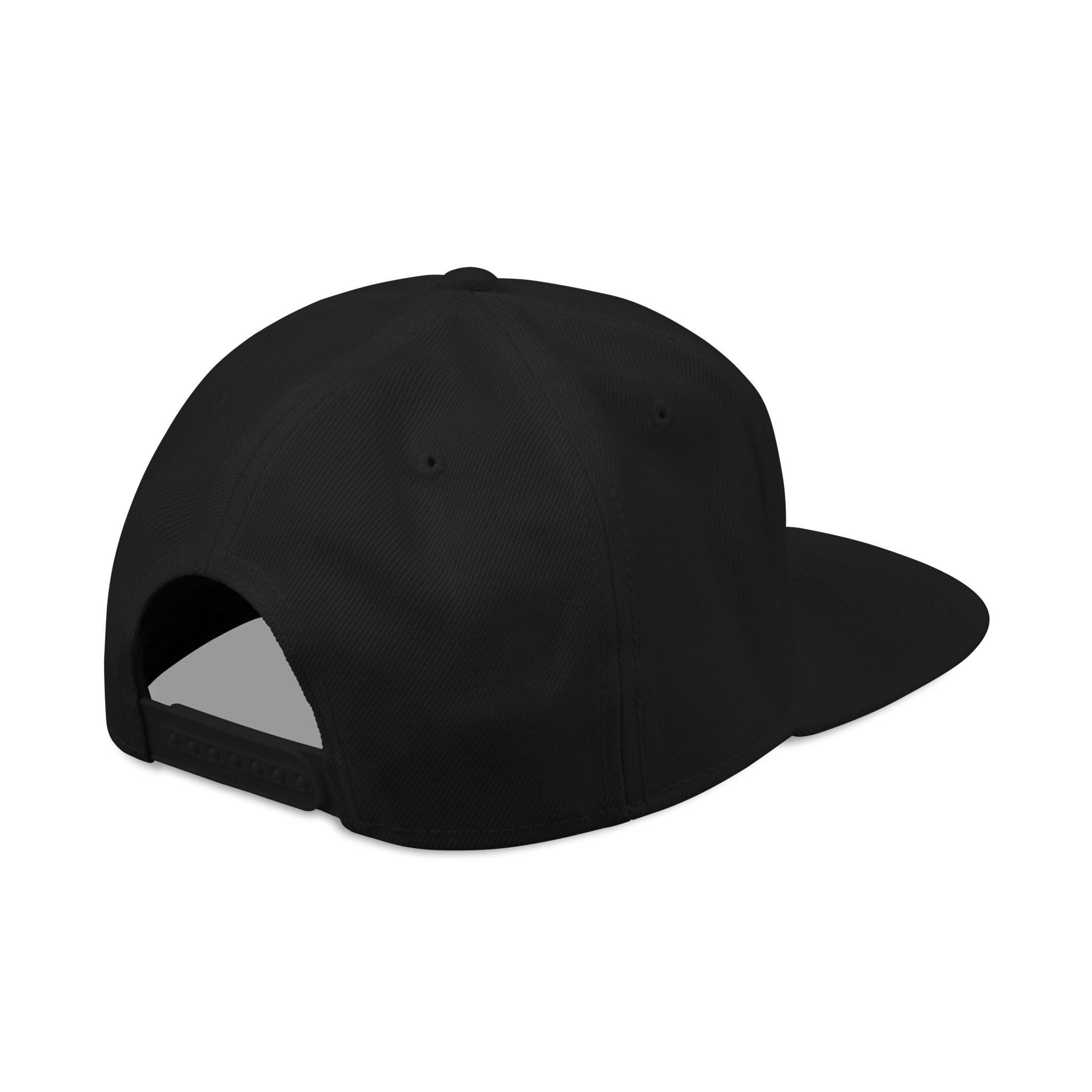 Official Astrofishicist Snapback Cap