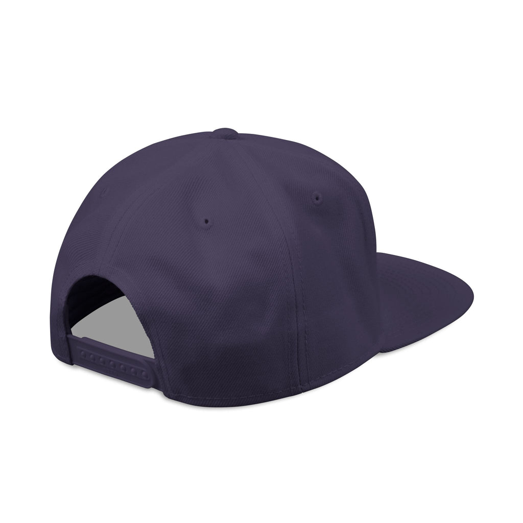 Official Astrofishicist Snapback Cap