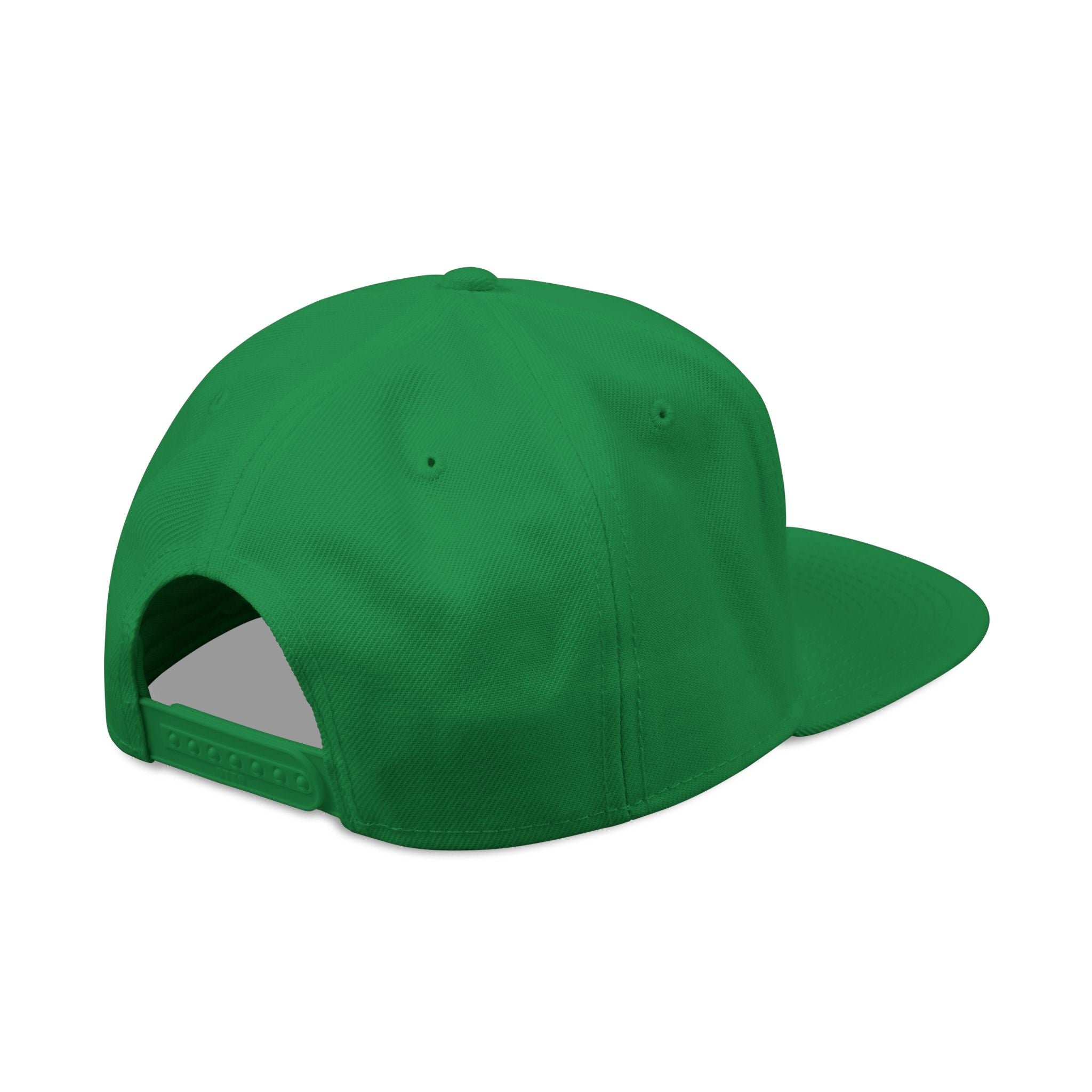 Official Astrofishicist Snapback Cap