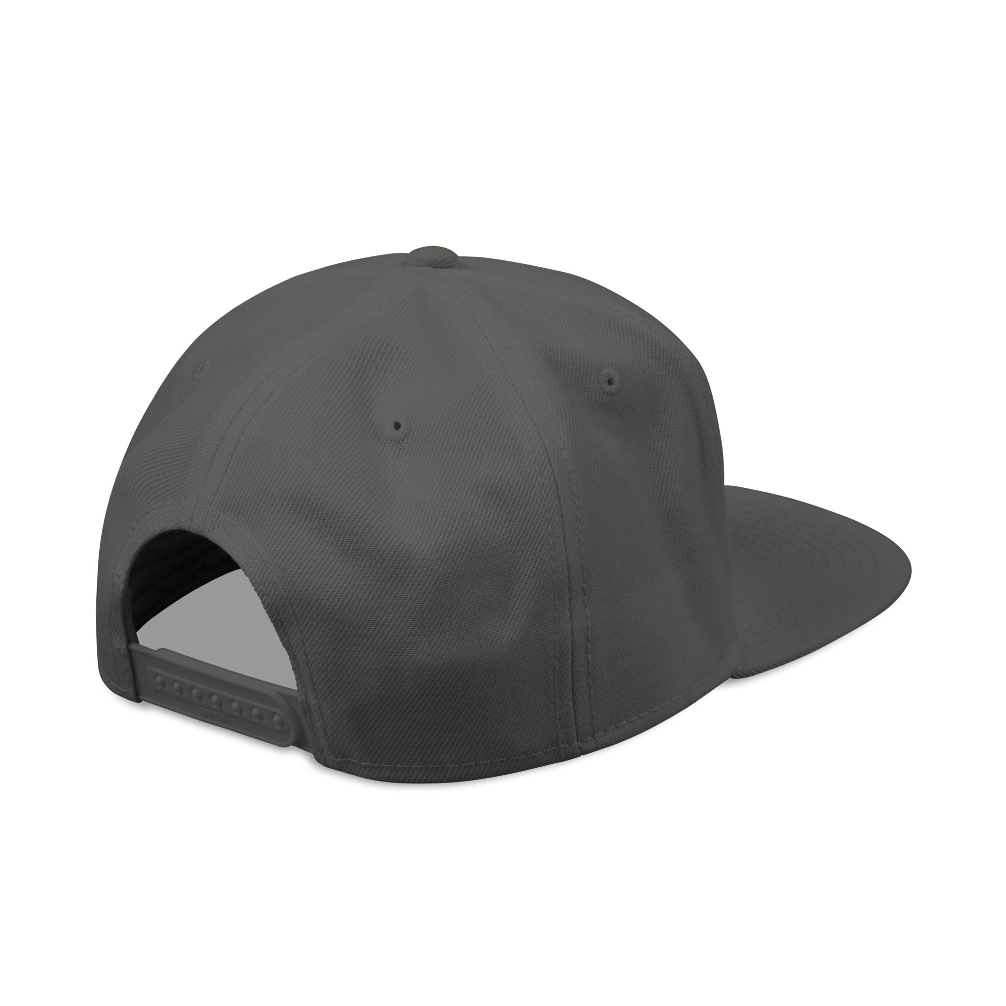 Official Astrofishicist Snapback Cap